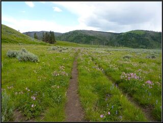 One path is for humans, one for horses