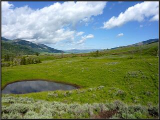 Bushwhacking through a beautiful view