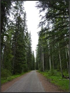 Mount Kerkeslin campground 20 miles south, much less busy