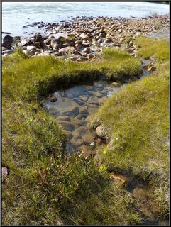 Clear creek feeding the river