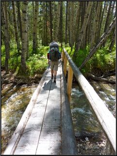 A bridge with one handrail, Theresa doesn't need any