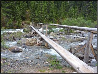 What we can only assume was the 'suspension bridge' the visitor center fellow was excited about