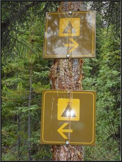 How does this help?
