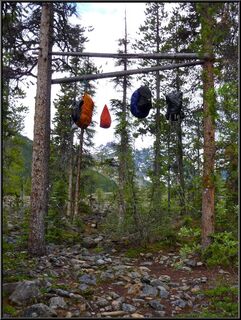 Bear poles, with the most clever cable system