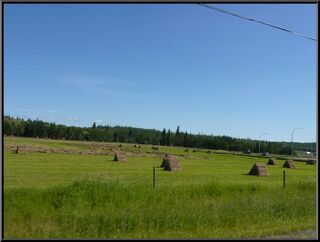 Hay pyramids