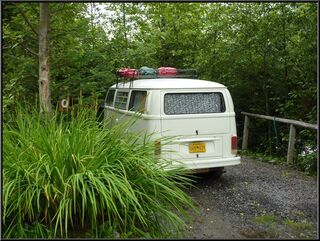 Morning at the lush and rustic Kinnikinnick Campground