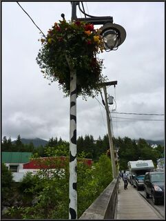 Cow poles