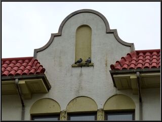 Seems like a good design if you want to attract pigeons
