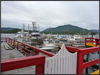 Cow Bay Harbor