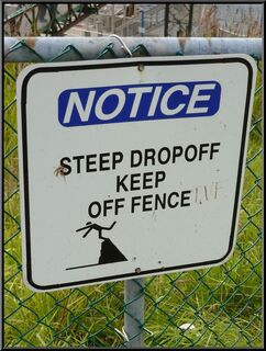 Also, please do not dive off the cliff