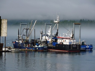 Boats in the morning fog