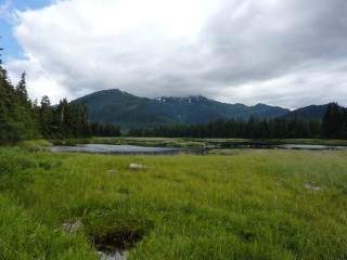 Looking up the rapids
