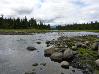 Looking at the rapids