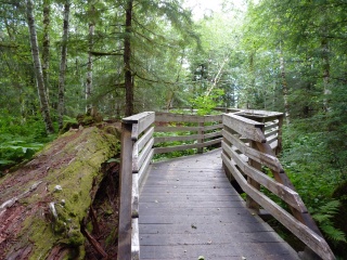 The cool wavy boardwalk around Man-Made Hole