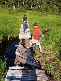On the Three Lakes Trail