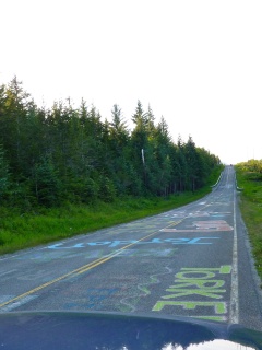 Petersburg seniors sign the road out of town