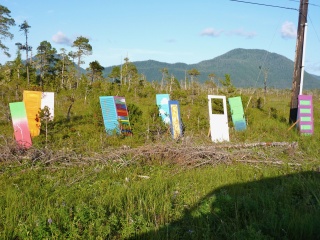 A muskeg art installation of doors