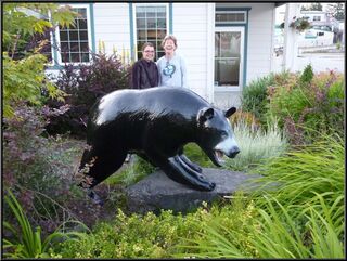 The bear is back, but apparently is missing a fish in it's jaws