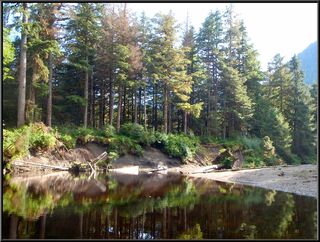 Slack water and time to follow the tide back out