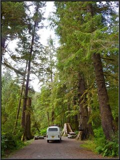Morning in site 18 of Starrigavan Campground, we hadn't been there long