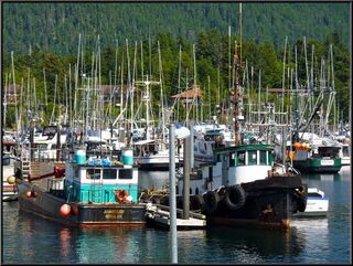 The boats in Crescent Harbor