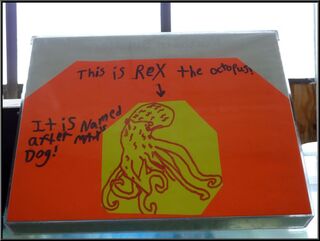 The sign was arguably cooler than the octopus