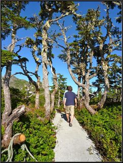 The trail for the rest of us