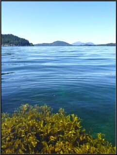 A beautiful and flat Sitka Sound