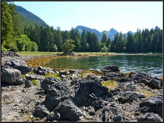 The beach by Starrigavan creek