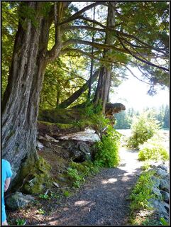 The Mosquito Cove Trail