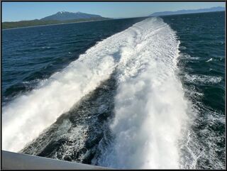 The fast ferry is a catamaran and throws a mean plume of water