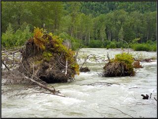 The Taiya River, we'll follow it to the pass