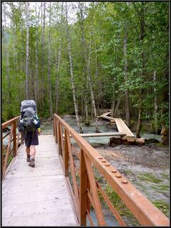 Theresa appreciating the bridges and boardwalks