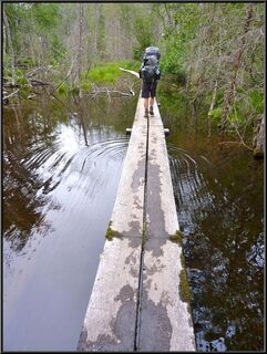 In the beaver ponds the boardwalks were just about under water