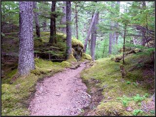 The trail just short of the Canyon City campsites