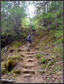 We know it's nothing like the actual pass, but it's steep