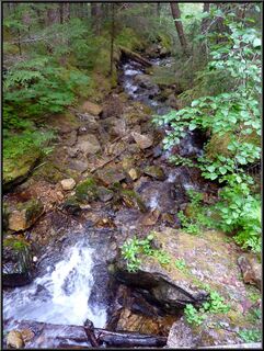 The water was snowmelt clear