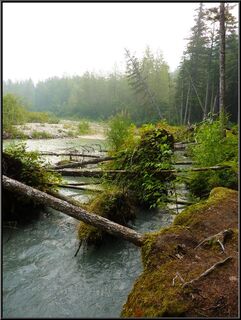 The Taiya River, rerouting itself
