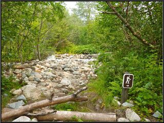 The old route across the river in Sheep Camp