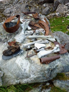 Artifacts. Those are horse bones, there are a lot of them