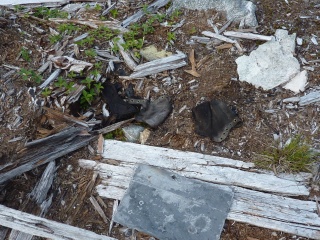 Shoes, there are a lot of them about