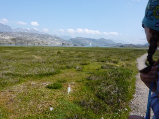 A beautiful meadow stretch on the way to Happy Camp