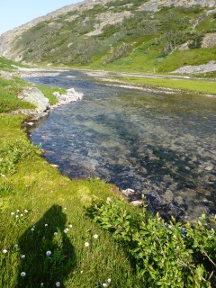 This water eventually ends up in the Yukon