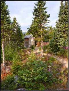 Pretty privy
