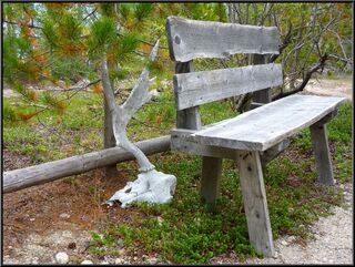 Resting places