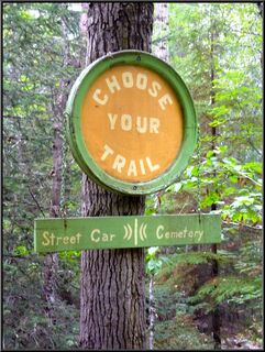 Trail choice, novel