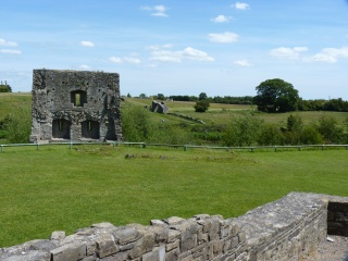 The lawn.
