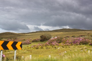 Beatific countryside on the way to Donegal.