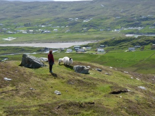 Cori, sheep whisperer.