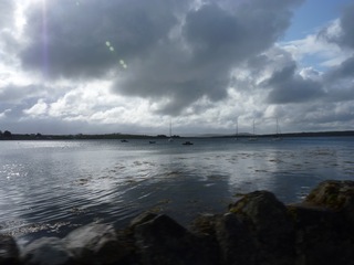 The water is calm here.